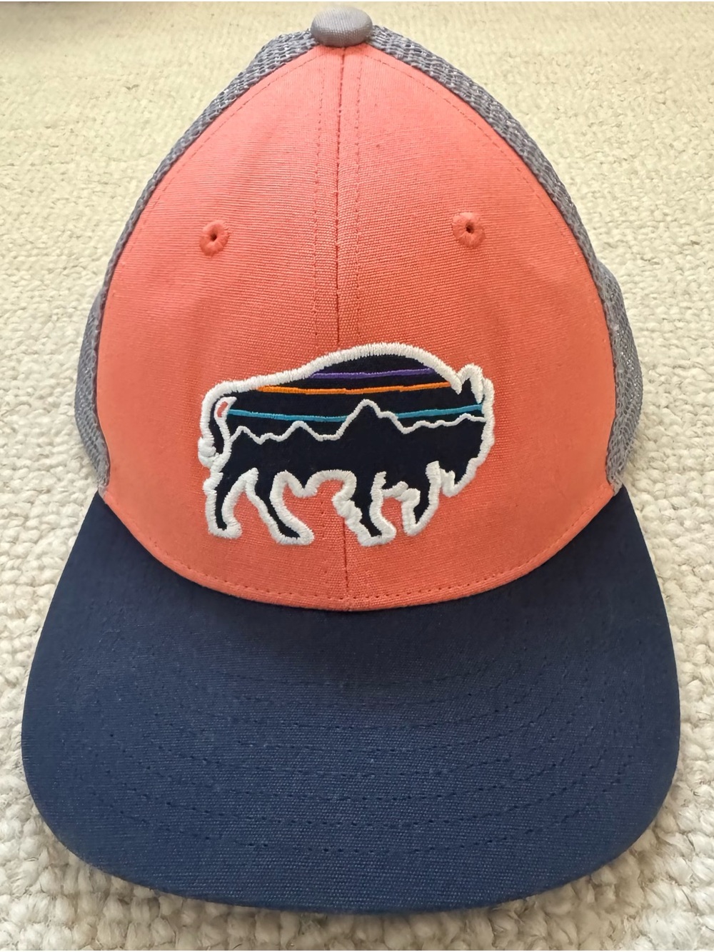 Patagonia Buffalo Patch Trucker Hat